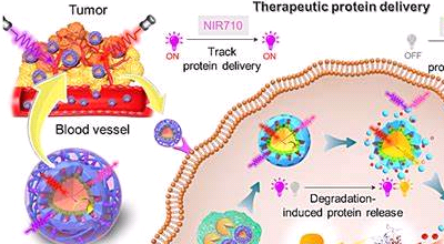 (x)Ĥ NeutrophilsMembraneCoatedVesicles