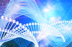dˎ(x)ĤݣOuter Membrane Vesicles, OMV)