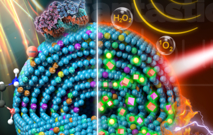 Methacrylate-PEG-FITC׻ϩҶɹMethacrylate-PEG-Fluorescein