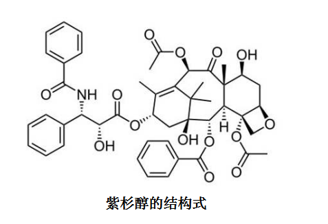 ɹ(FITC)W(xu)ɼ
