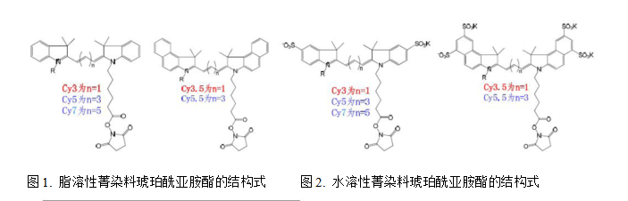 Cy3,Cy5Cy7ݼȾϵļl(f)L(zhng)VD
