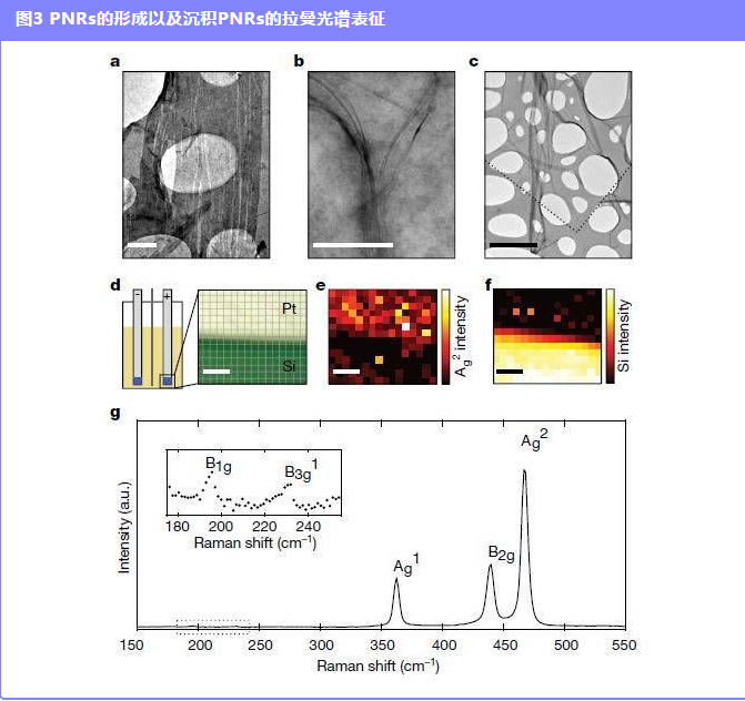 QQ؈D20210429144959.png