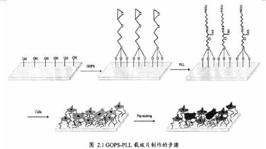 QQ؈D20211124123725.png