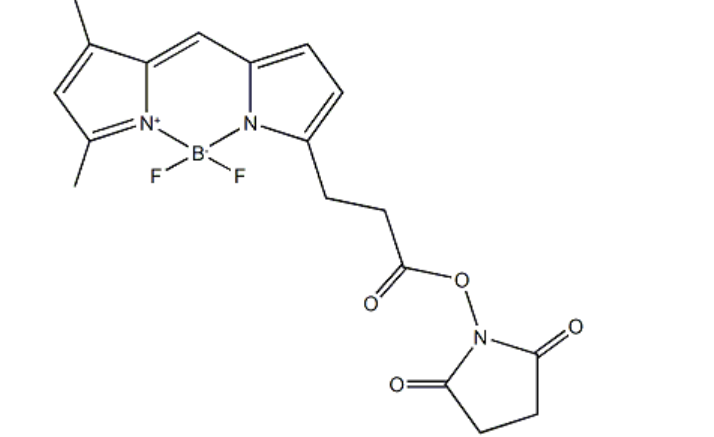 BDP FL NHS estercas146616-66-2.png