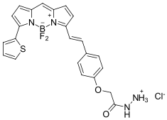 BDP 630/650 hydrazidecas2183473-43-8.png