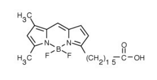 BODIPY FL C164,4--5,7-׻-4-s-3a,4a-s-s-_(d)ʡ-3-ؙᣩ.png
