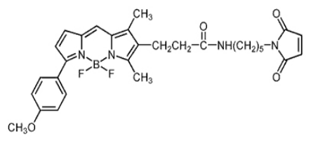 BODIPY TMR C5-R.png