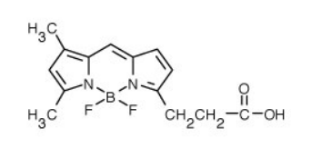 BODIPY FL4,4--5,7-׻-4-s-3a,4a-s-s-_(d)ʡ-3-ᣩ.png
