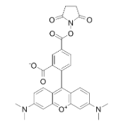 5-TAMRA-SE|cas̖(ho)150810-68-7|5-Ȼļ׻_.png