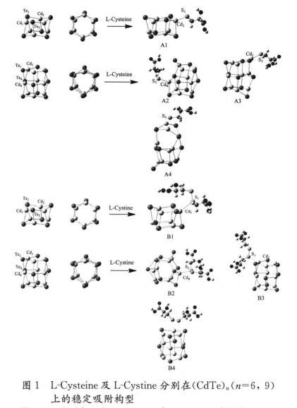 L-װ-CdSc.png