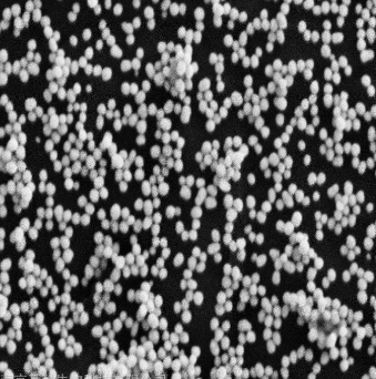 MAL-Gold Nanoparticle/Au nanoparticles{׽w/{.png