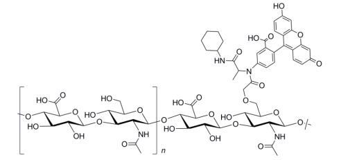 ɹؘ(bio)ӛ͸|(zh)ӽY(ji)(gu)ʾD.png