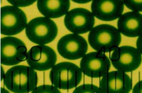 Ȼ۱ϩɹ΢100nm500nm