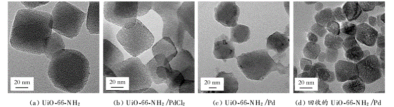 MOF|UIO-66-NH2 ,CAS:1260119-00-3ЙCؓdPd߻ĺϳc