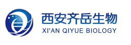 MOF:MOF-177ЙC(j)Ǽcas:676593-65-0Ƃ