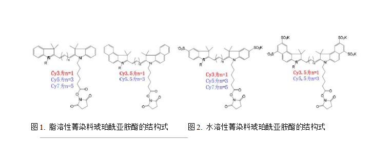 Cy3,Cy5Cy7ݼȾϵļl(f)LVD