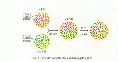 ͬλؘ(bio)ӛcɹ(bio)ӛą^(q)eЩ