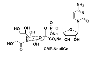 CMP-C9-Azido-Sialic Acid5'-B