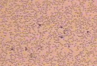 ΢Ž؈D_20220426162110.png
