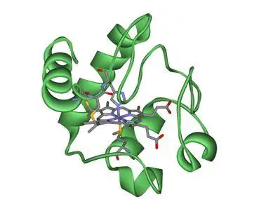 Casein(x)ɫC