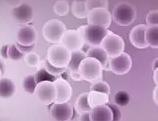 ΢Ž؈D_20220426173950.png
