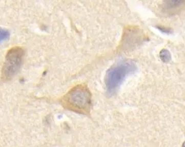 ΢Ž؈D_20220427092650.png