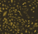 ΢Ž؈D_20220427093946.png