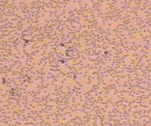 ΢Ž؈D_20220427104008.png