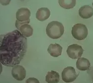 ΢Ž؈D_20220427153735.png