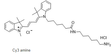 Cy3-amine,Cy3-NH2,Cy3-,cas:2247688-56-6