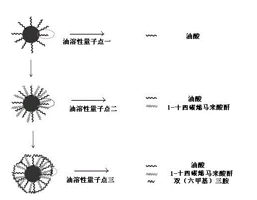 ˮc(din)