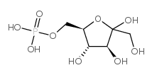 udpľ
