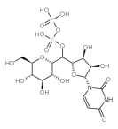 UDP-