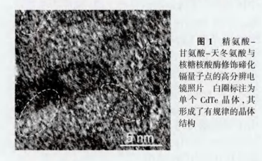 tڻk(CdTe)c(din)