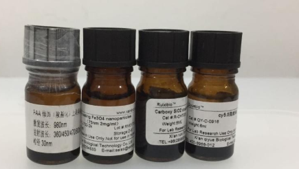 ݼGICGӛ}/[} ICG-Calsequestrin ɹȾ