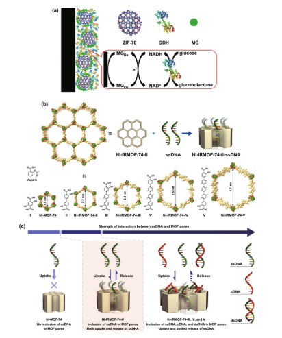 ЙCMOF-53NPs