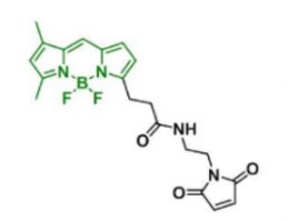 ɹȾBDP FL Maleimide  CAS:773859-49-7ʲôɫ