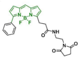ɹȾBDP R6G maleimide/R  CAS:2183473-32-5ļl(f)l(f)䲨LǶ
