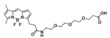 ɹȾBODIPY FL-PEG3-COOH/carboxylic acid/Ȼļl(f)l(f)䲨L(sh)B