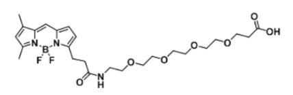 ɹȾBODIPY FL-PEG4-COOH/carboxylic acid/ȻĮa(chn)Ʒ(sh)Pa(chn)ƷB