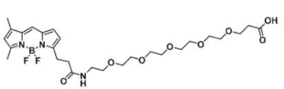 ɹȾBODIPY FL-PEG5-COOH/carboxylic acid/ȻCAS:2093197-98-7ļl(f)l(f)䲨LǶ٣
