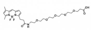 ɹȾBODIPY FL-PEG6-COOH/carboxylic acid/ȻCAS:1649950-91-3Ex/Em(nm) 503/509