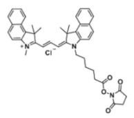ɹȾCyanine3.5 NHS ester/(Methyl)  CAS:2231670-85-0֬Cy3.5 Щ܄