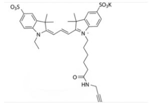 ɹȾdiSulfo-Cy3 alkyneˮԶCY3 alkyne/ȲȲN(Ethyl)CAS:1010386-62-5