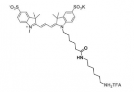 ɹȾdiSulfo-Cy3 amine/NH2/Cy3-CAS:2183440-43-7 ʲôɫ