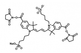 ˮԟɹȾdiSulfo-Cy3 bis-NHS ester/Cy3-Ex/Em(nm) 557/575