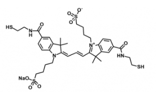 ˮԟɹȾdiSulfo-Cy3 bis-Thiol/SHCy3-a(chn)Ʒ(sh)|(zh)