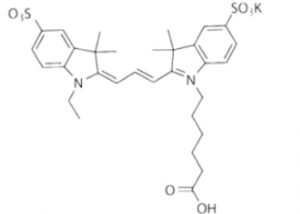 ˮԻSulfo-Cy3 carboxylic acid/COOH/Ȼ(Ethyl) CAS:146368-13-0Ex/Em(nm) 548/562