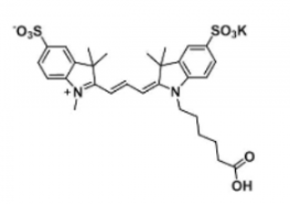 ˮԶɹȾdiSulfo-Cy3 carboxylic acid/COOH/Ȼ(Methy)CAS:1121756-11-3