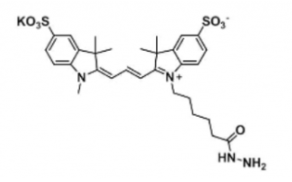 ˮԶɹȾdiSulfo-Cy3 hydrazide/N3/BCAS:2144762-62-7Ex/Em(nm) 548/563